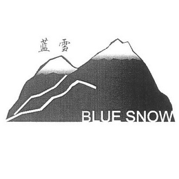BLUE SNOW logo