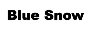 BLUE SNOW logo
