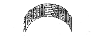 BLUE SPIN logo