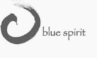BLUE SPIRIT logo