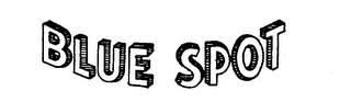 BLUE SPOT logo