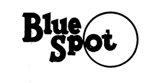 BLUE SPOT logo