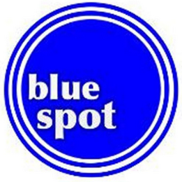 BLUE SPOT logo