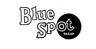 BLUE SPOT BRAND logo