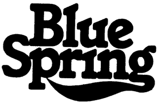 BLUE SPRING logo