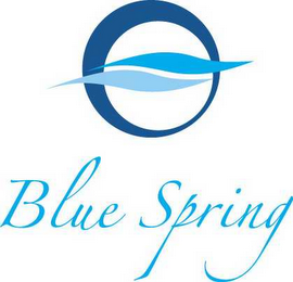 BLUE SPRING logo