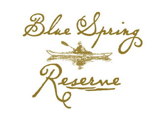 BLUE SPRING RESERVE logo