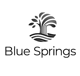 BLUE SPRINGS logo