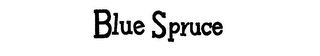 BLUE SPRUCE logo