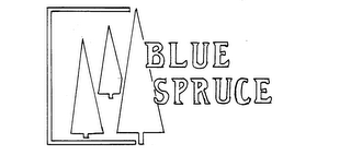 BLUE SPRUCE logo