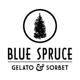 BLUE SPRUCE GELATO & SORBET logo