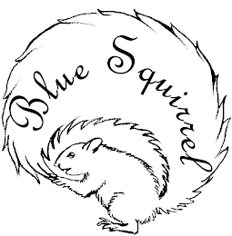 BLUE SQUIRREL logo
