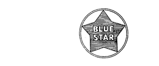 BLUE STAR logo