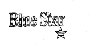 BLUE STAR logo
