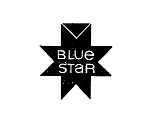 BLUE STAR logo