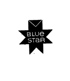 BLUE STAR logo