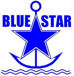 BLUE STAR logo