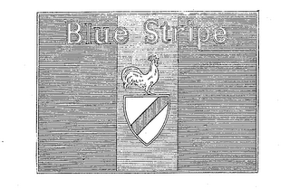 BLUE STRIPE logo