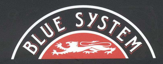 BLUE SYSTEM logo