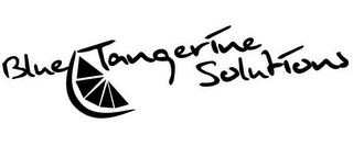 BLUE TANGERINE SOLUTIONS logo