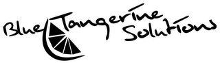 BLUE TANGERINE SOLUTIONS logo