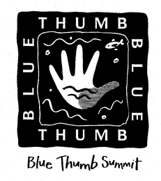 BLUE THUMB BLUE THUMB SUMMIT logo