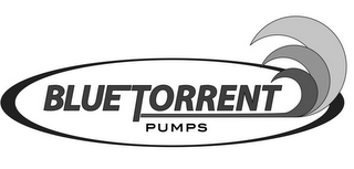 BLUE TORRENT PUMPS logo