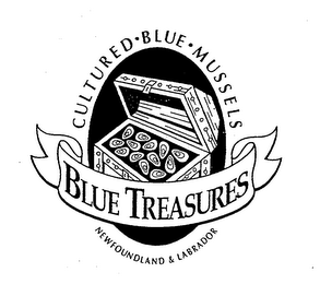 BLUE TREASURES CULTURED BLUE MUSSELS NEWFOUNDLAND & LABRADOR logo