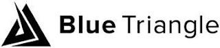 BLUE TRIANGLE logo