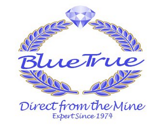 BLUE TRUE DIRECT FROM THE MINE EXPERT SINCE 1974 logo