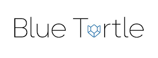BLUE TURTLE logo