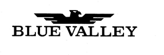 BLUE VALLEY logo