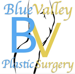 BLUE VALLEY BV PLASTIC SURGERY logo