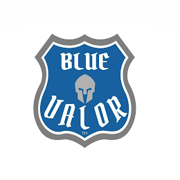 BLUE VALOR logo