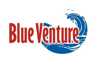 BLUE VENTURE logo