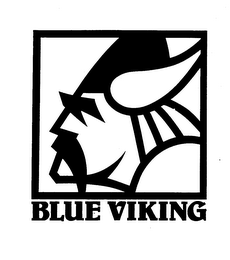 BLUE VIKING logo