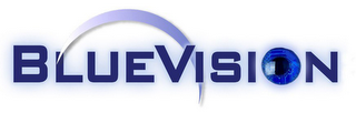BLUE VISION logo