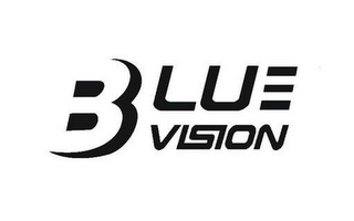 BLUE VISION logo