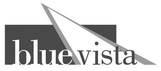 BLUE VISTA logo
