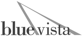 BLUE VISTA logo