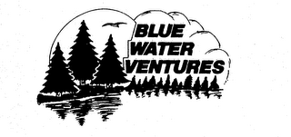 BLUE WATER VENTURES