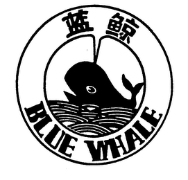 BLUE WHALE logo