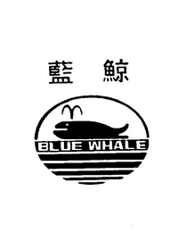 BLUE WHALE logo