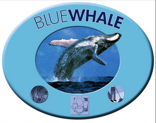 BLUE WHALE logo