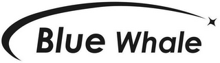 BLUE WHALE logo