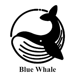 BLUE WHALE logo