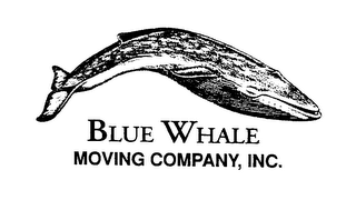 BLUE WHALE MOVING COMPANY, INC. logo
