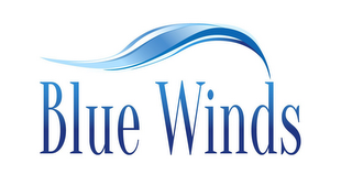 BLUE WINDS logo