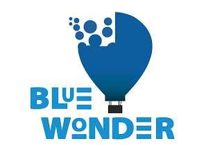 BLUE WONDER logo