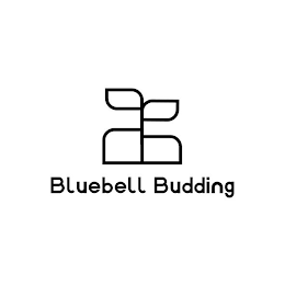 BLUEBELL BUDDING